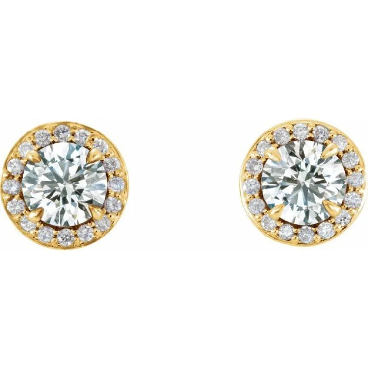 Women’s nature-themed earrings-14K Yellow 5/8 CTW Natural Diamond Halo-Style Earrings